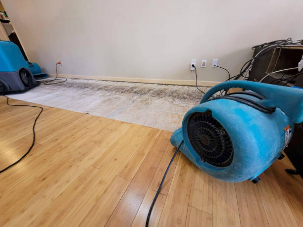 Professional Structural Drying technician working in Ceres, CA